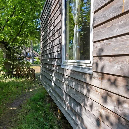 Tiny Haus